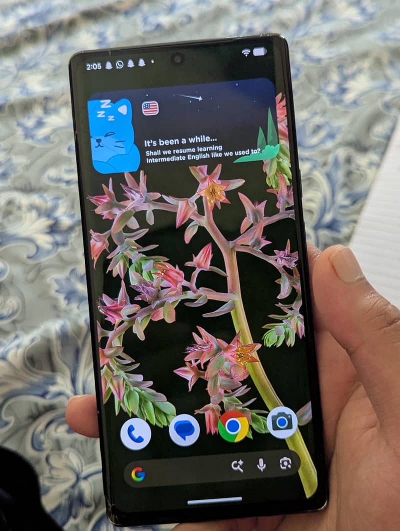 Google Pixel 6 Pro 1
