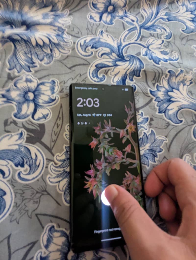 Google Pixel 6 Pro 2
