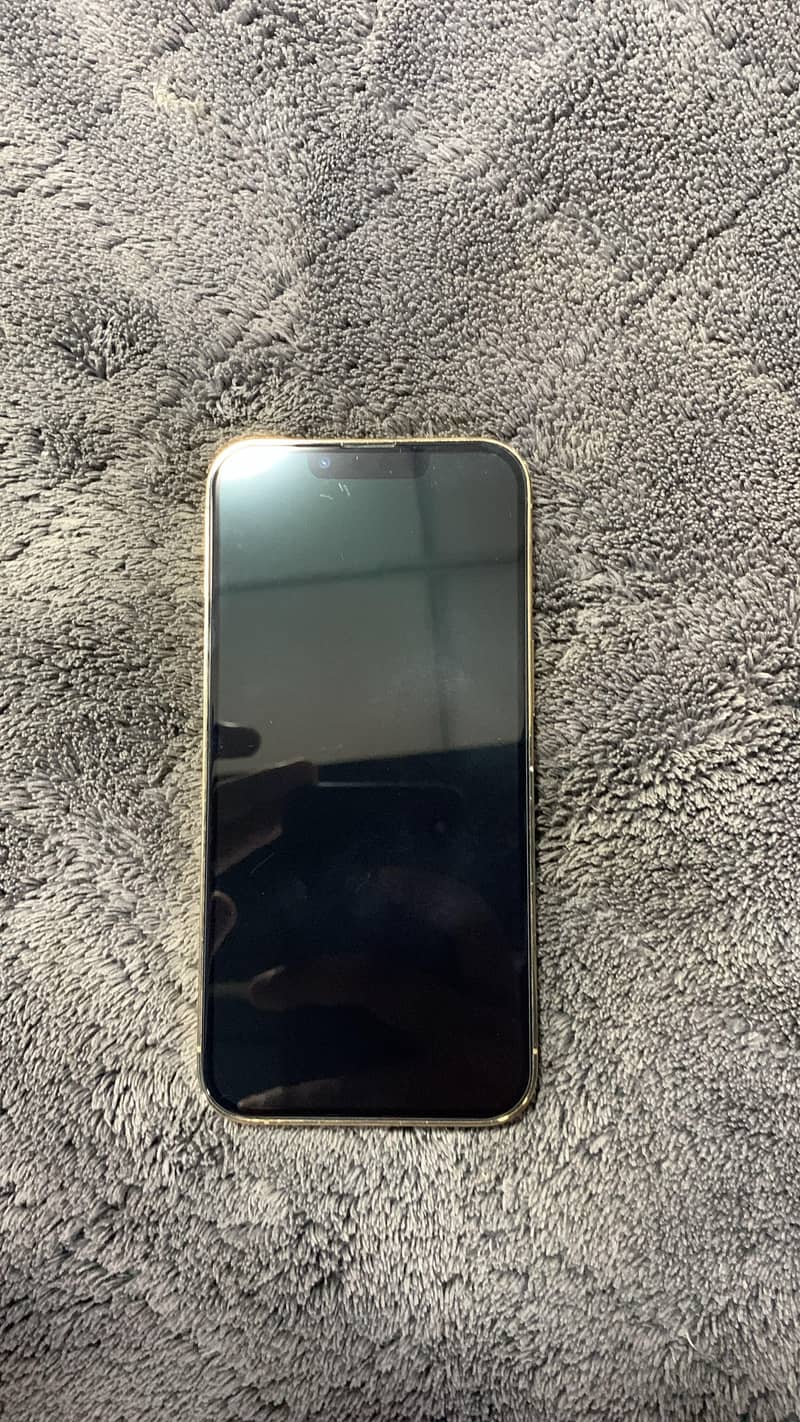 Apple iPhone 13 Pro 1