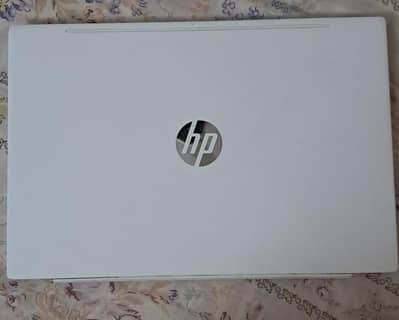 HP Pavilion [i5 10th gen] 16GB RAM | 1TB+ Storage | Windows 11 Pro