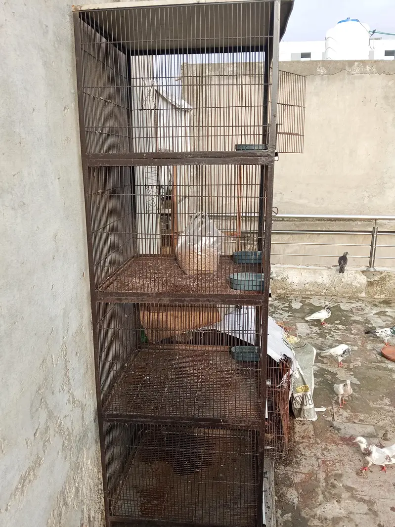 cage for sale — photo 2