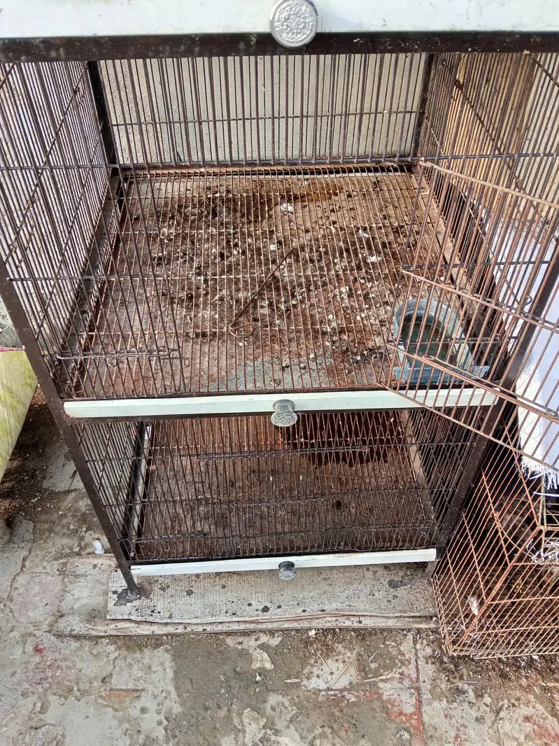 cage for sale — photo 3