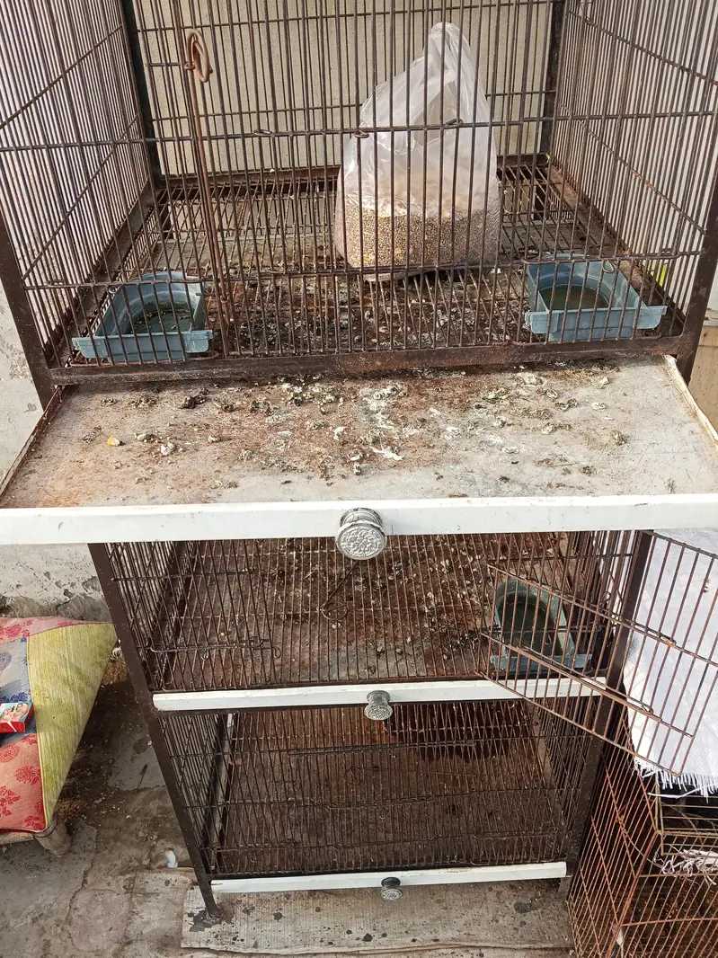 cage for sale — photo 4