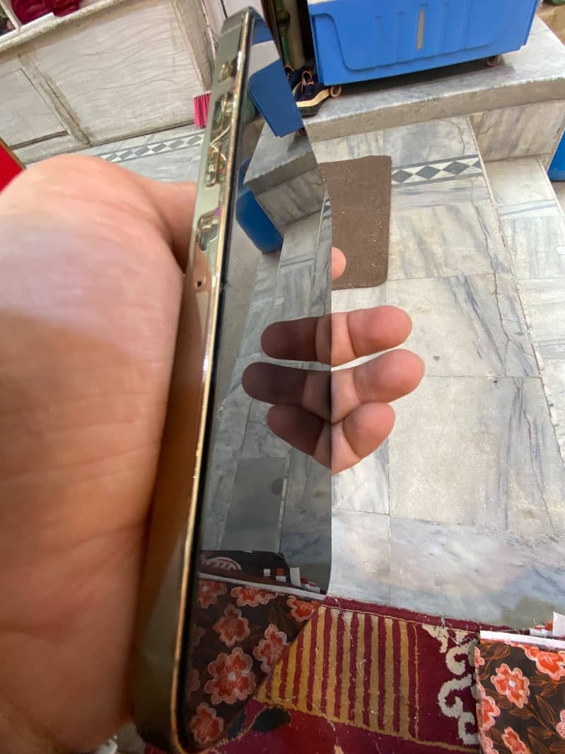 Apple iPhone 13 Pro Max 1