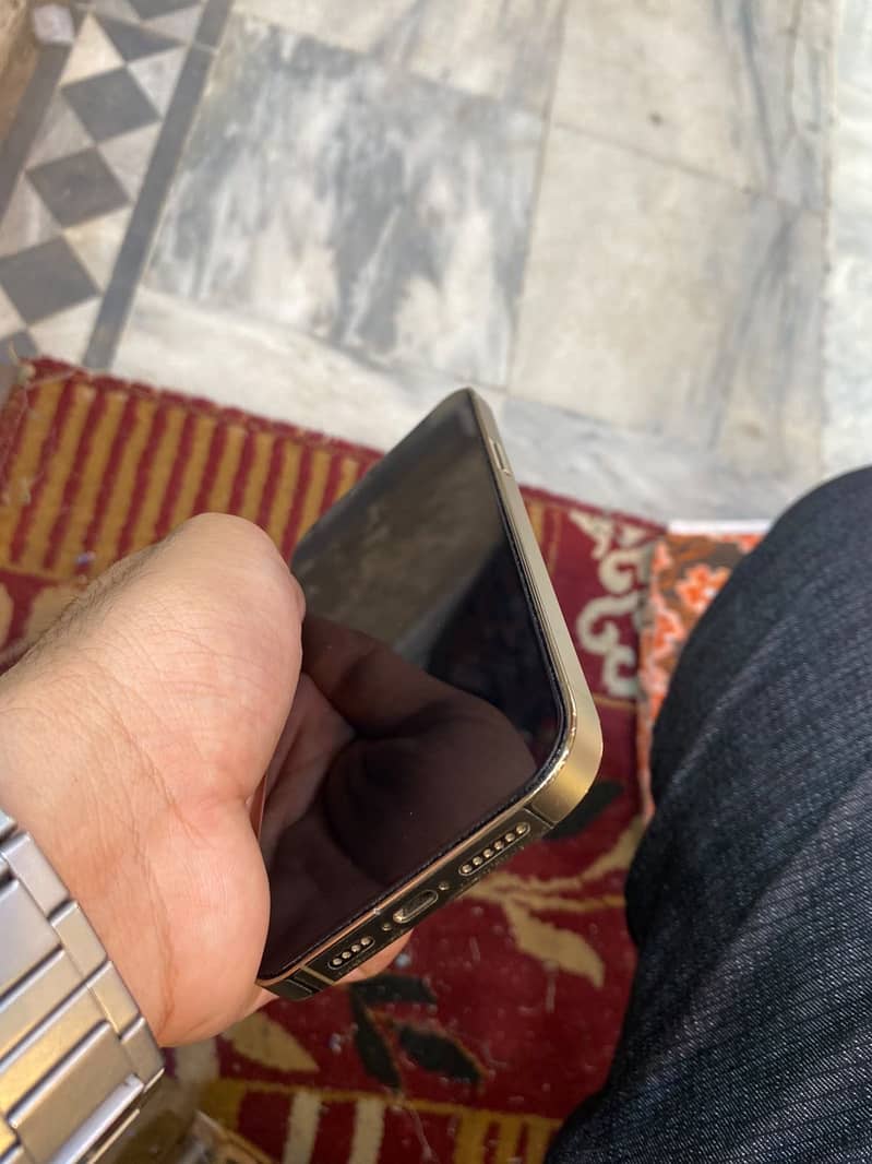 Apple iPhone 13 Pro Max 2