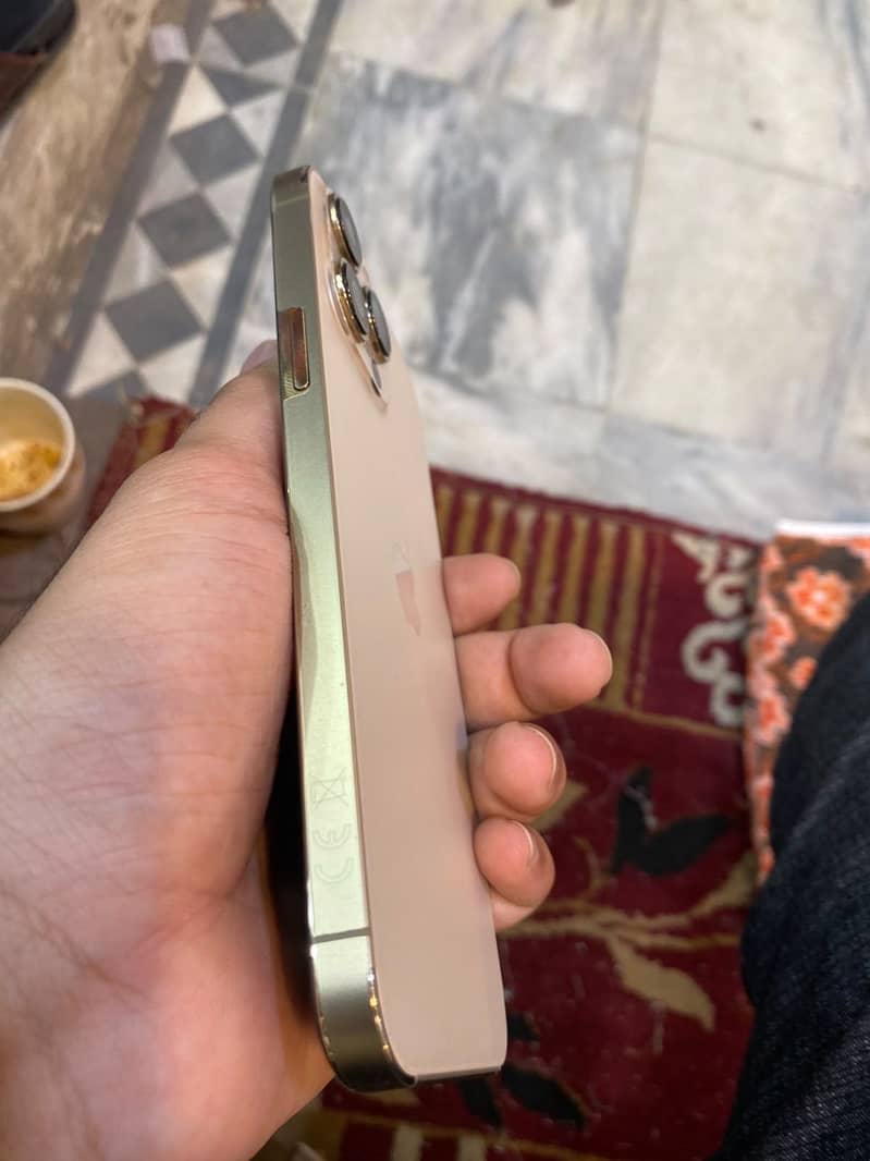 Apple iPhone 13 Pro Max 5