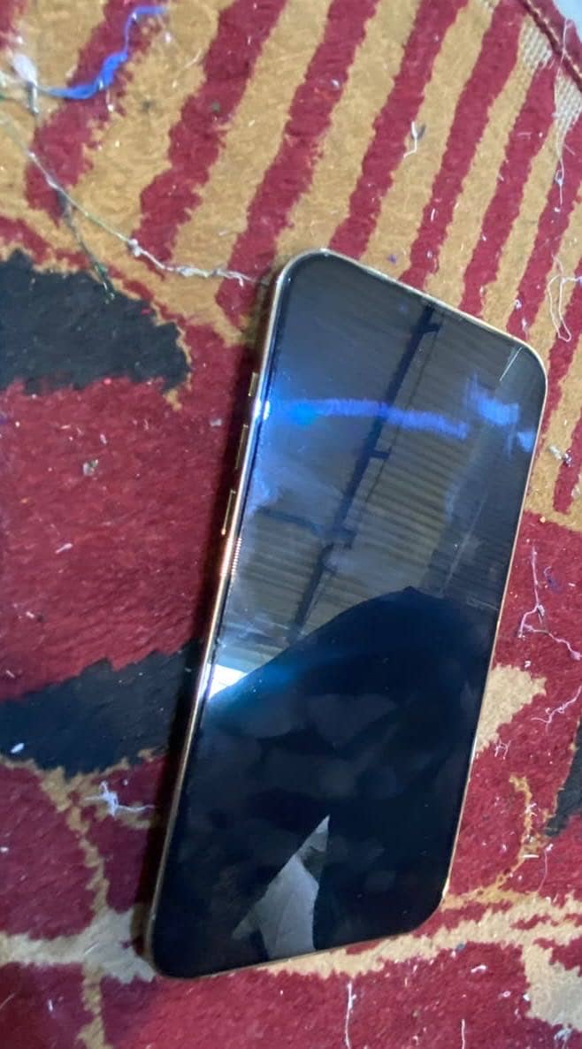 Apple iPhone 13 Pro Max 6