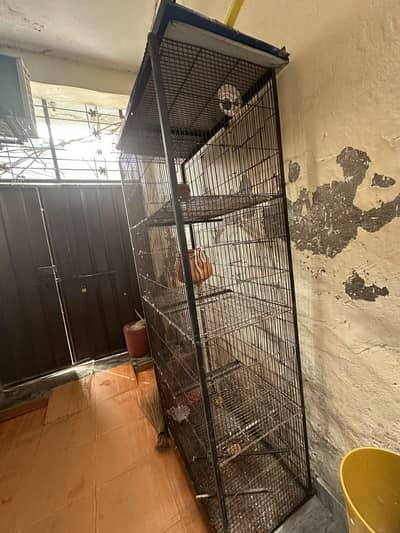 Bird iron cage 4 portion