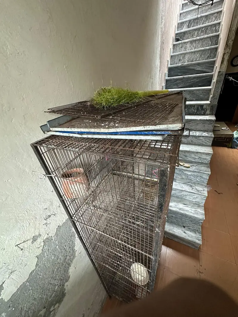 Bird iron cage 4 portion — photo 2