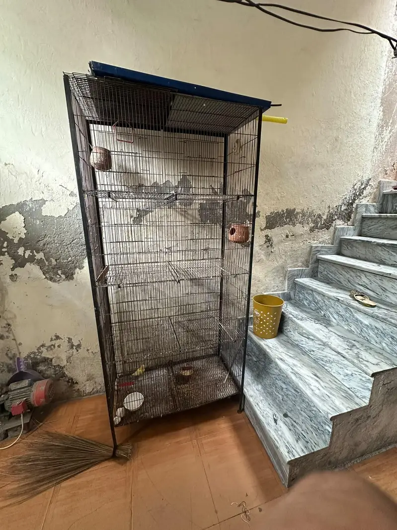 Bird iron cage 4 portion — photo 3