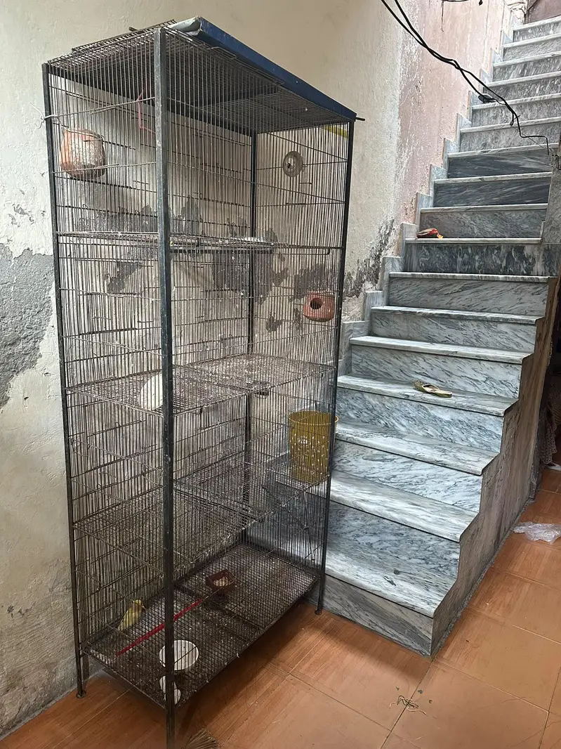 Bird iron cage 4 portion — photo 4