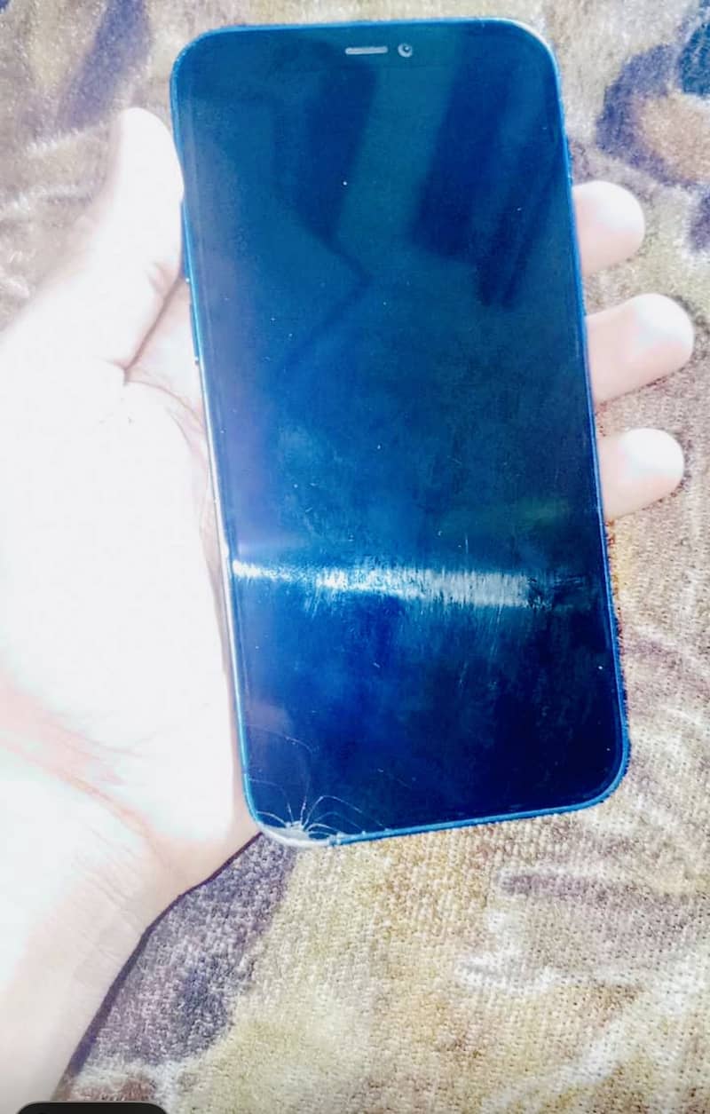 Apple iPhone 12 1
