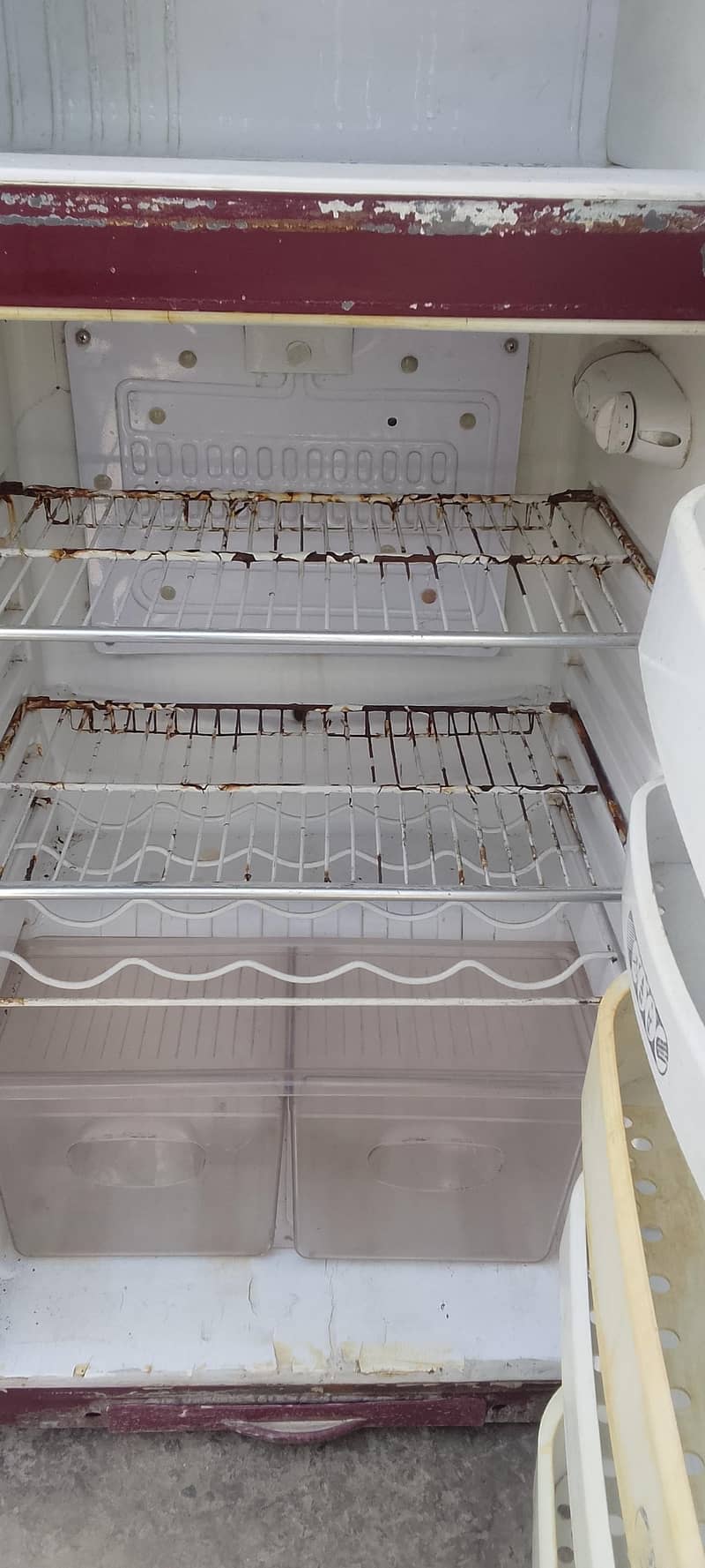 Fridge 1