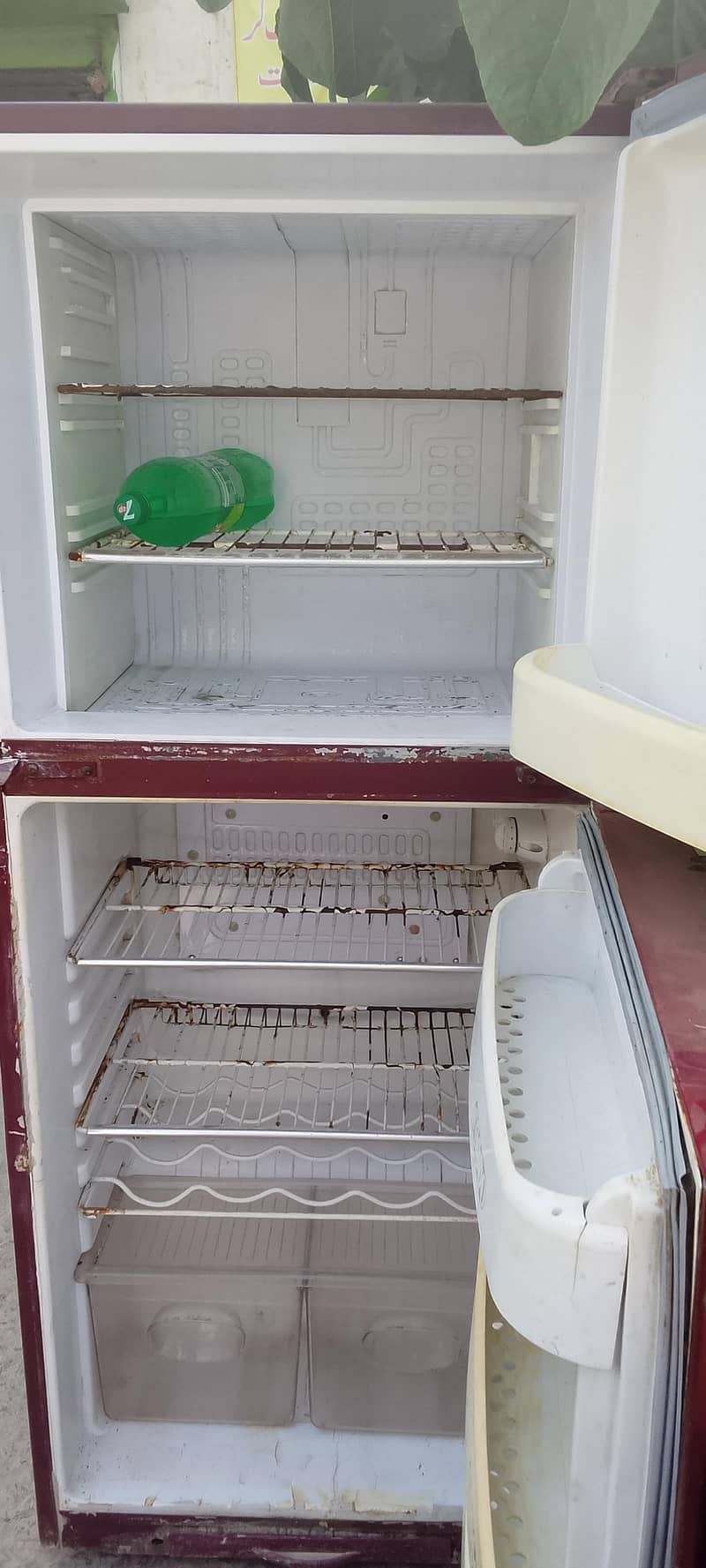 Fridge 2