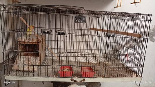 cages for parrots