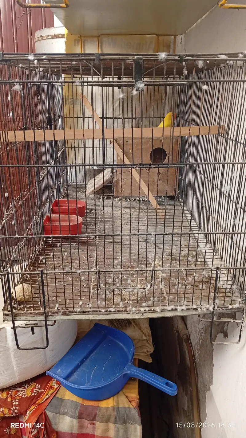 cages for parrots — photo 2