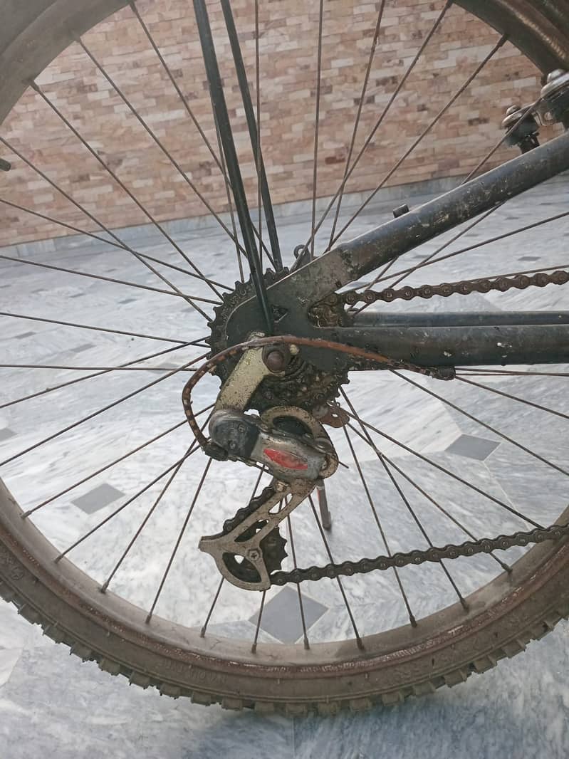 BICYCLE 2