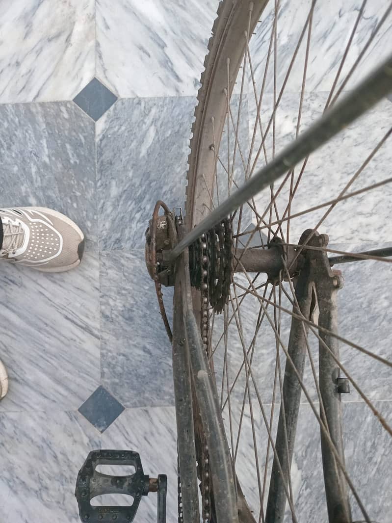 BICYCLE 3