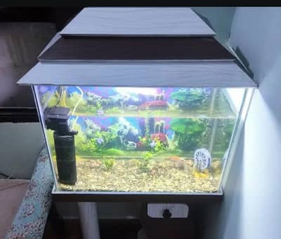 Aquarium Complete Setup – Fish Not Included