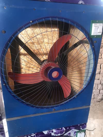 AC/DC 12 volt cooler