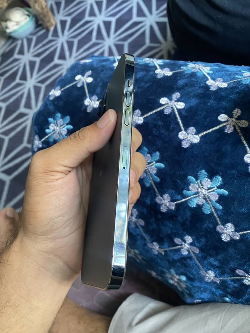 iPhone 12 Pro Max 1