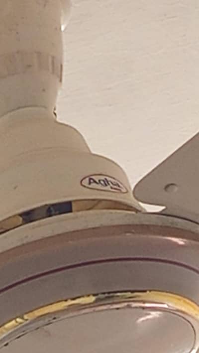 Agha Fan