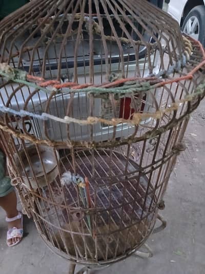 cage for parrot