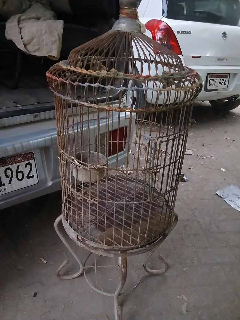 cage for parrot — photo 2