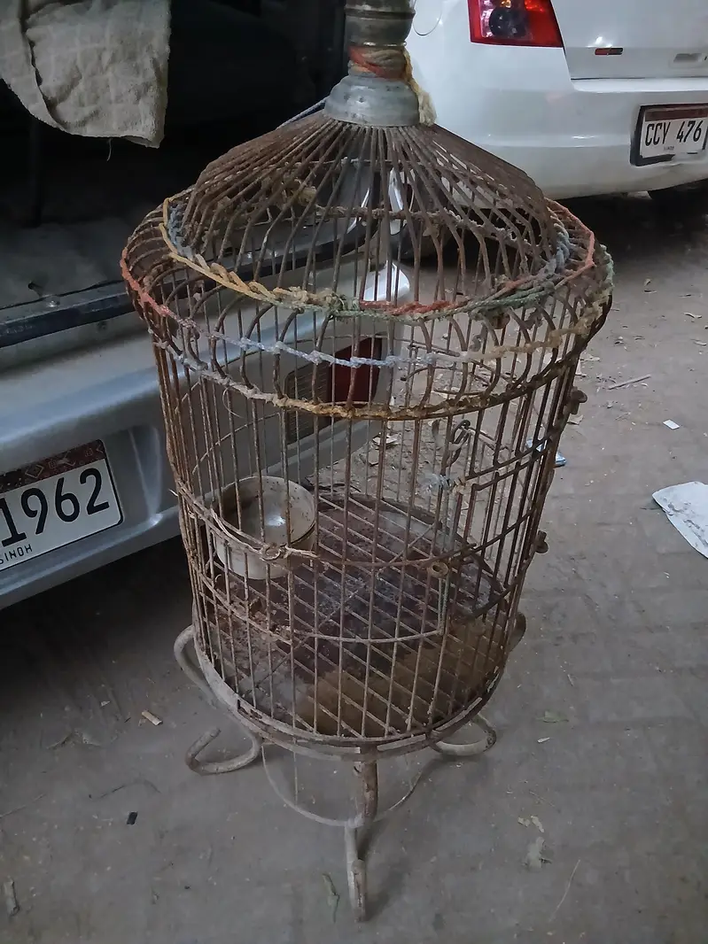 cage for parrot — photo 3