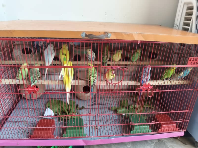 breeder pair 0