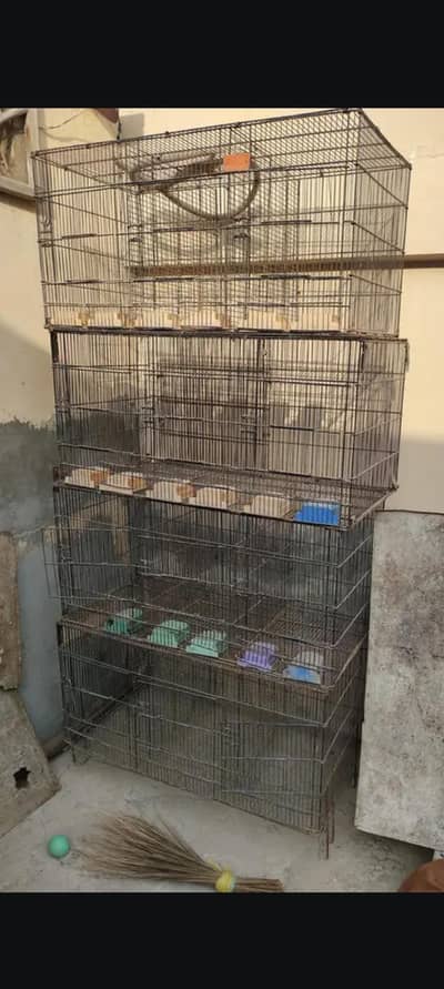 CAGE for. birds