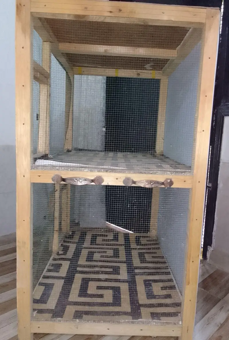Large Wooden Bird Cage / Pinjra – 2 Compartments — photo 3