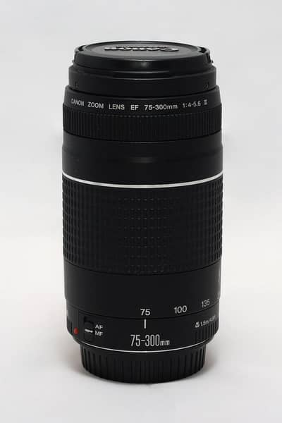 Canon EF 75-300mm Lens For Sale