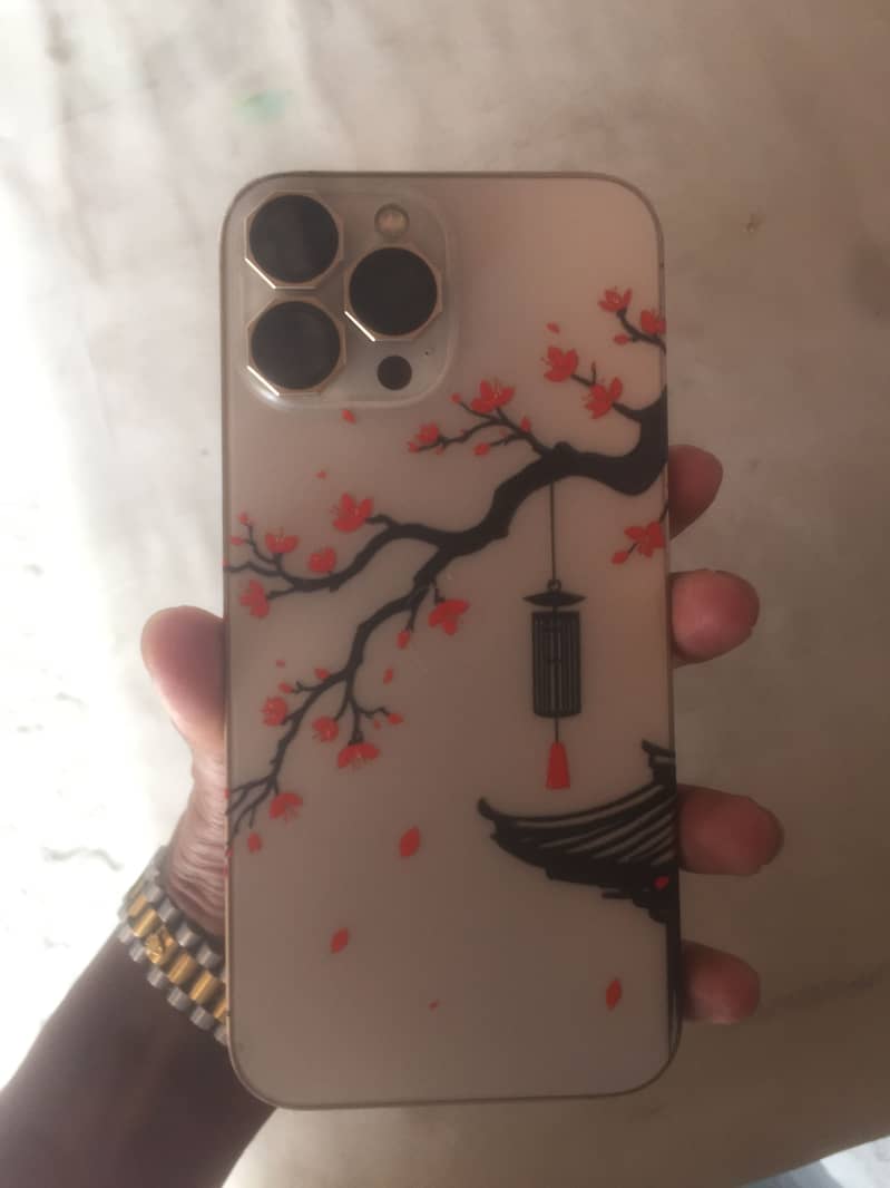 Apple iPhone 13 Pro Max 0