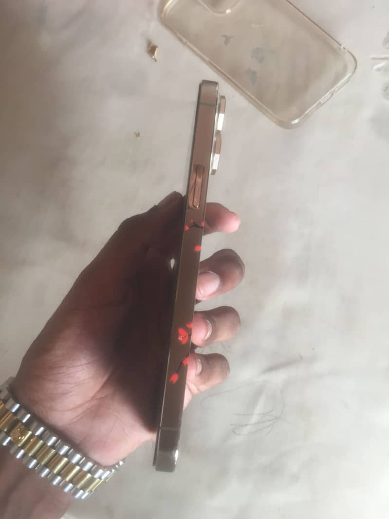 Apple iPhone 13 Pro Max 2