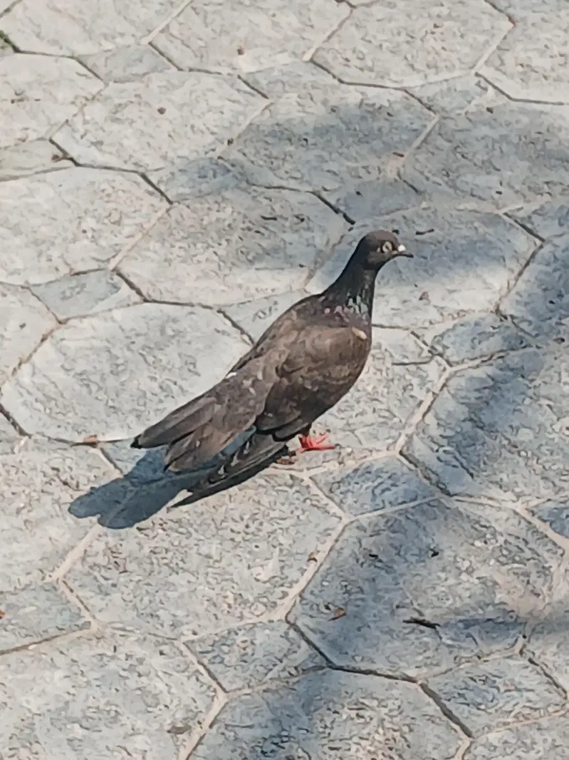 03275044401 — photo 3