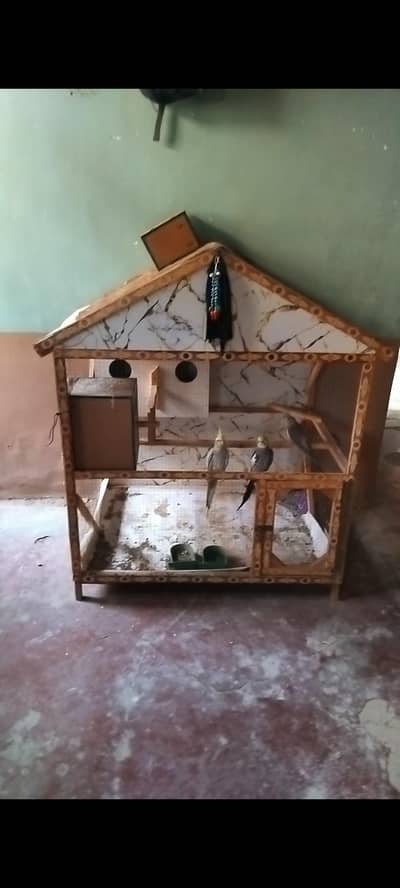 parrot
