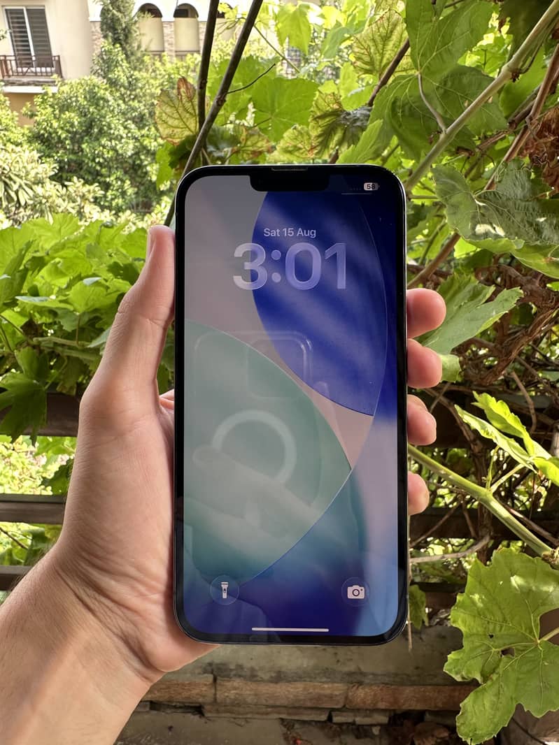 Apple iPhone 13 Pro Max 2