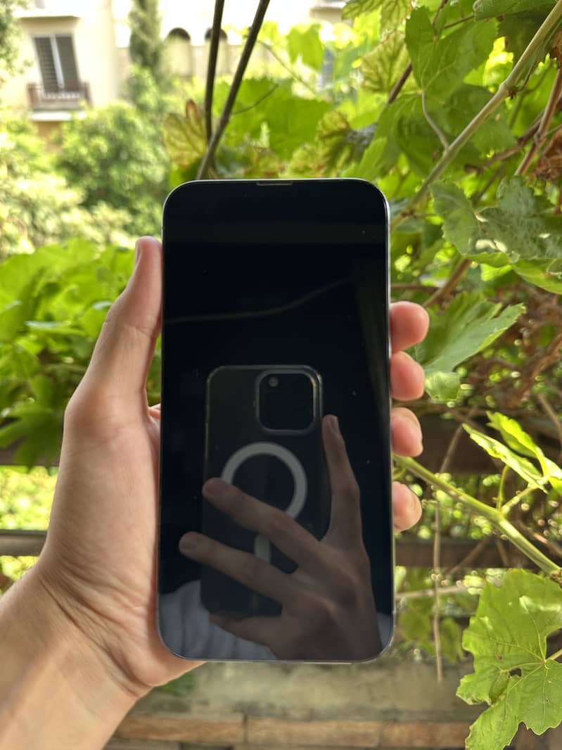 Apple iPhone 13 Pro Max 3