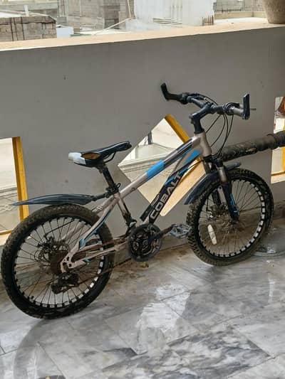 COBALT BICYCLES 10 GEAR