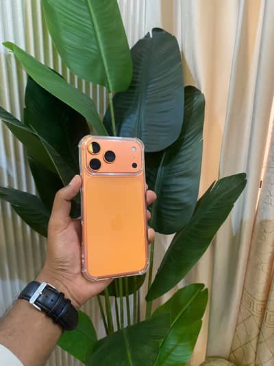 Apple iPhone 17 Pro Max physical plus eSIM