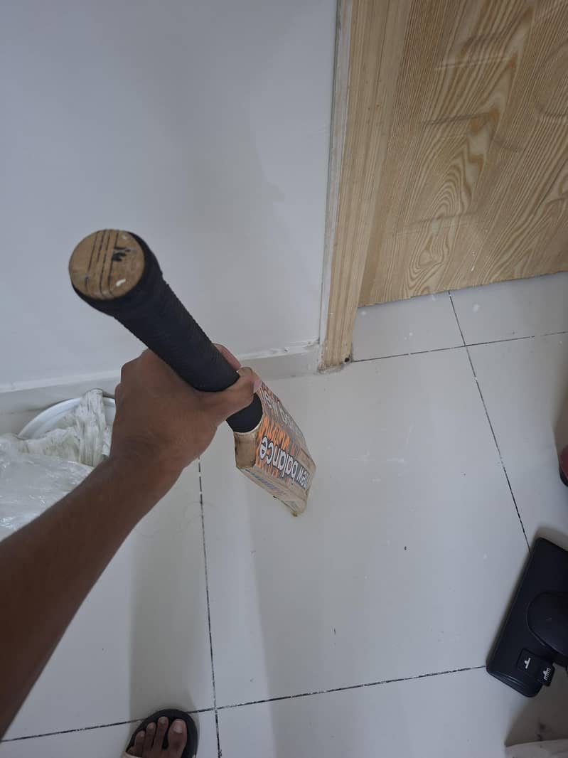 cricket bat 3