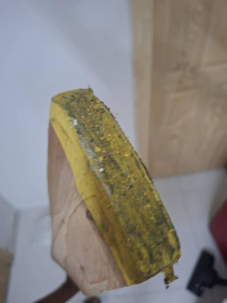 cricket bat 4