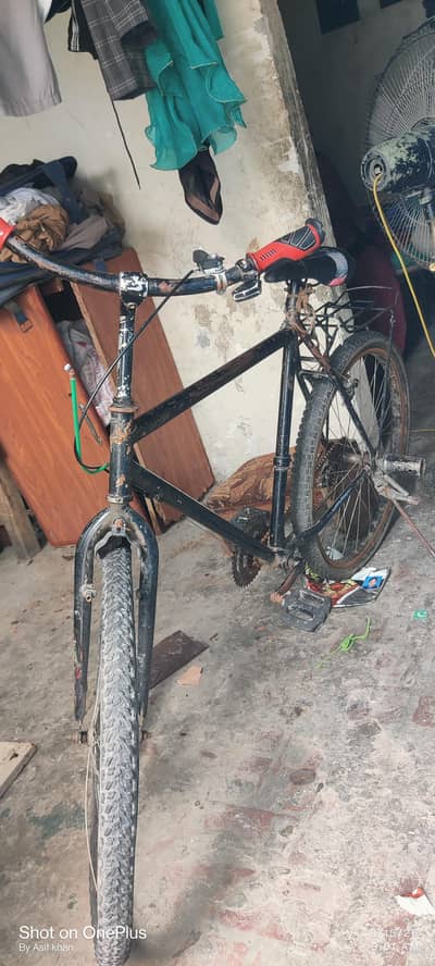 phonix cycle