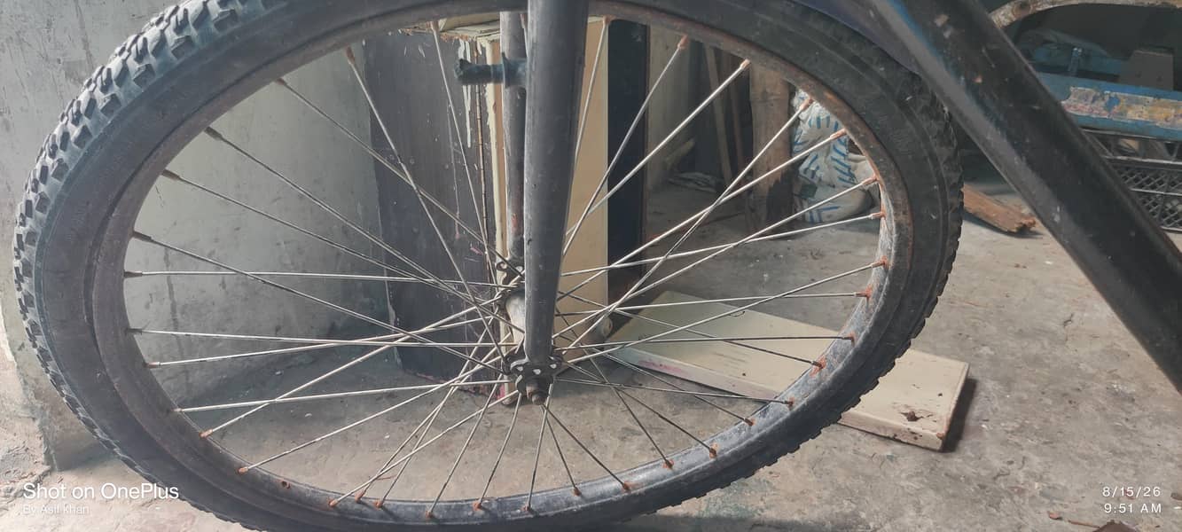 phonix cycle 2