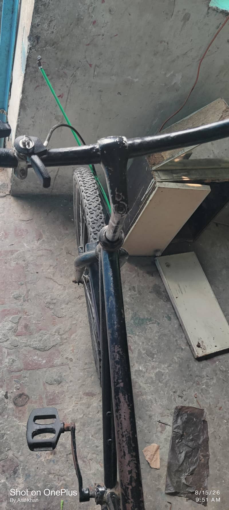 phonix cycle 3