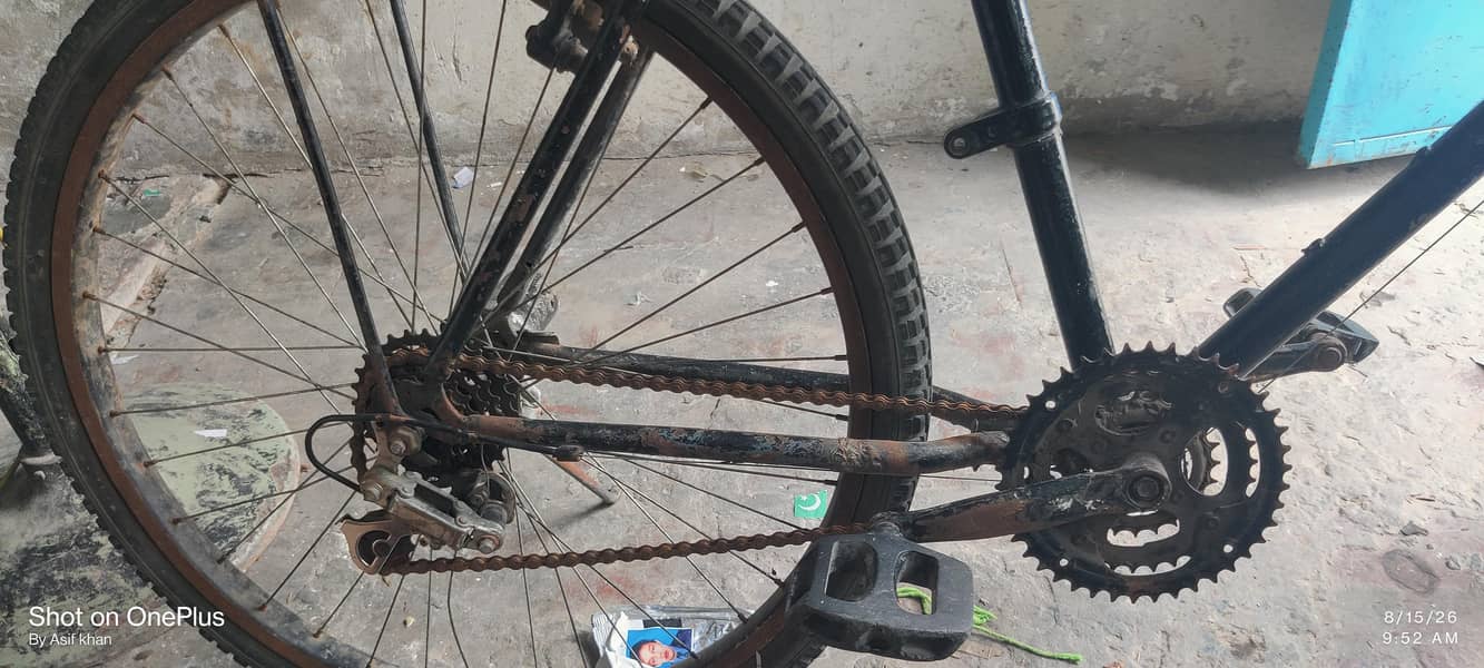 phonix cycle 4