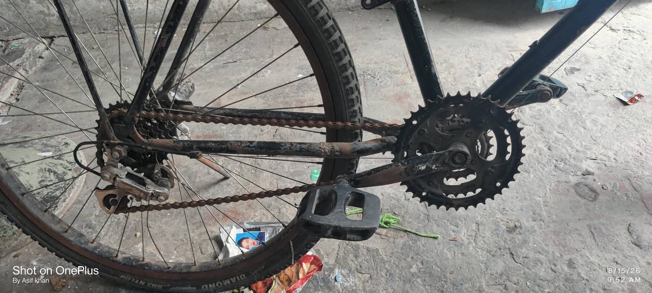 phonix cycle 5
