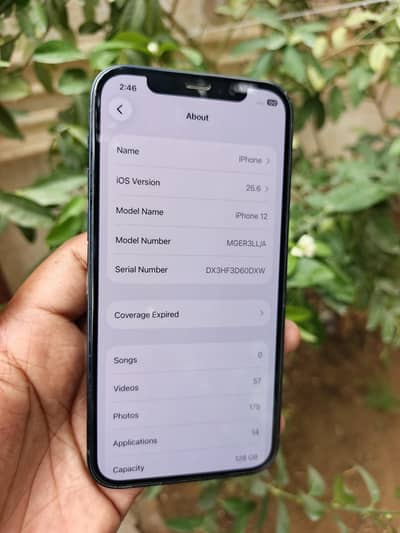 iPhone 12