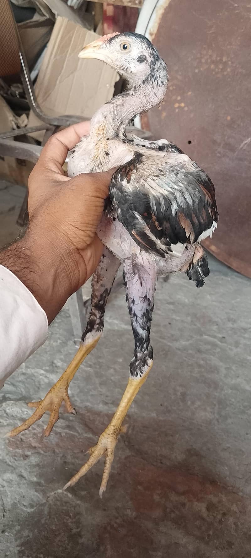 Lahore 1